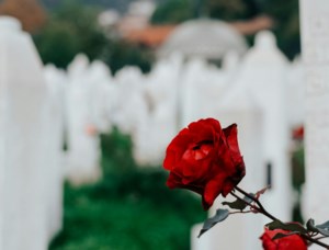 Woodlawn Cemetery guidelines for gravesite memorials