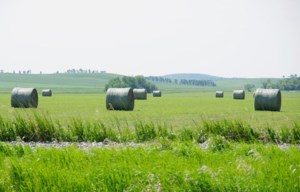 How Saskatchewan’s satellite forage insurance program is going to work