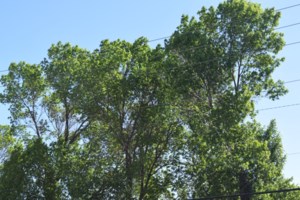 Update: Wind warning lifted in southern Saskatchewan