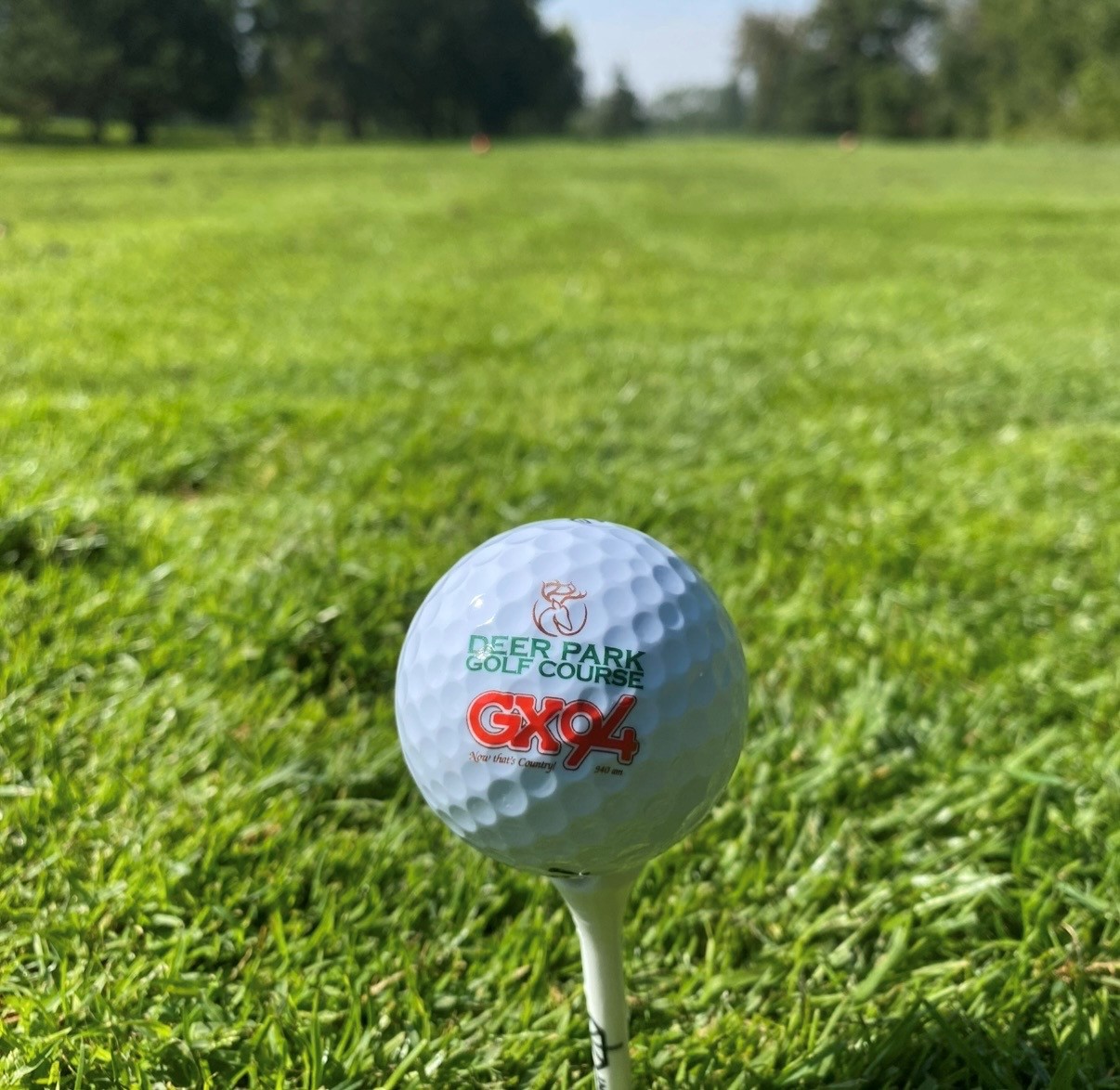 Chasing Birdies (And My Golf Balls) This Spring