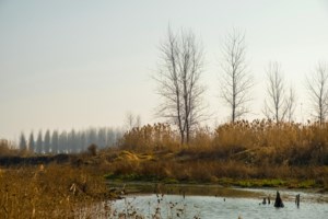 Byelection being held in the RM of Moosomin