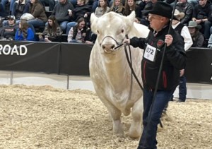 Agribition generates significant economic activity in Saskatchewan