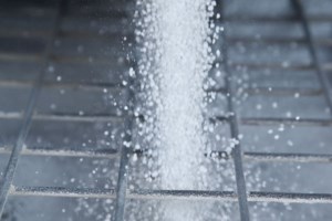 Wetlands seen as key to fertilizer management