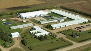 Prairie Swine Centre celebrates 35 years of driving innovation