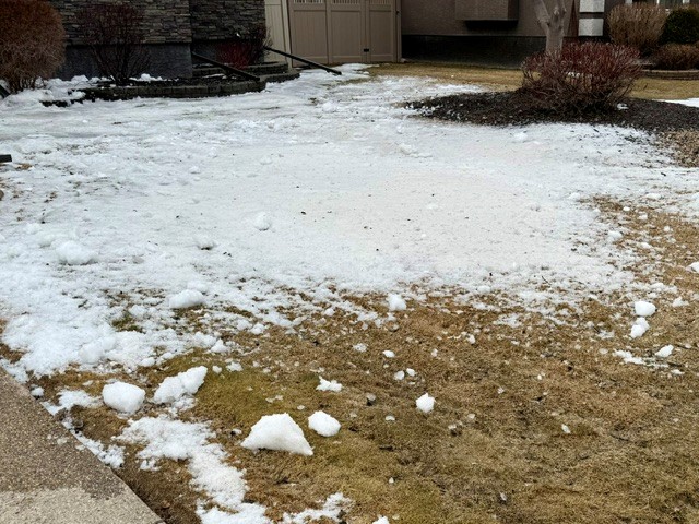 The Snow Pile Showdown