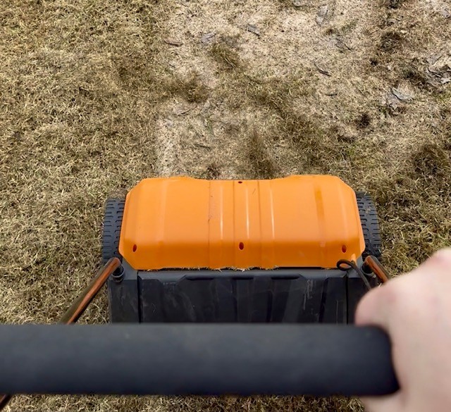 Spring Lawn Therapy