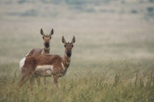 Opinion: You’re on the hook for what’s buried on your land
