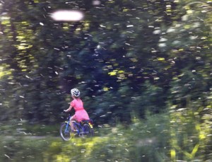 Runny nose? Itchy? Experts say seasonal allergies worsening due to increase in pollen