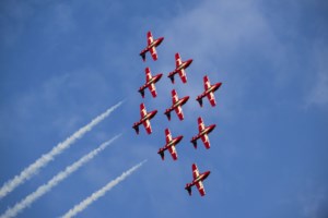 Defence minister visiting Snowbirds base amid speculation over team’s future