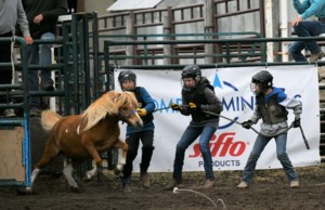 Unity Western Days draws hundreds of rodeo entries
