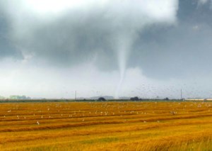 Teams probe how many tornadoes carved 32-km path in southeast Sask.