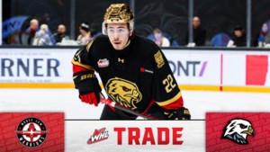 Moose Jaw Warriors acquire defenceman Griffin Darby from Portland Winterhawks for package of picks