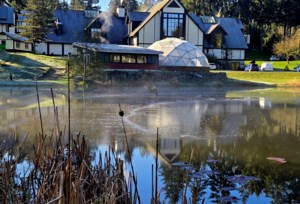 Grow Your Own Future: The life of a pond – Part II
