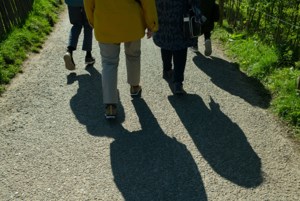 Over 100 walkers in Moosomin’s Walk for Alzheimer’s