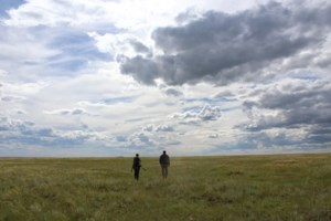 Grasslands grassroots a focus of Native Prairie Appreciation Week