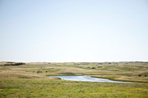 Prairie grassland decline drives push for new native seed bank initiative