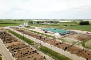 Summer Field Day showcases latest livestock research
