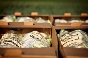 CFA pleased to see "renewed focus" with Ottawa's National Food Security Strategy