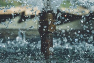 Flood damage? Online portal offers support