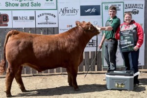 Photos: Steers, sheep sold at regional 4-H show and sale in Alameda