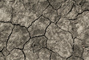 100 years of CKRM: The Prairie Drought of 1988