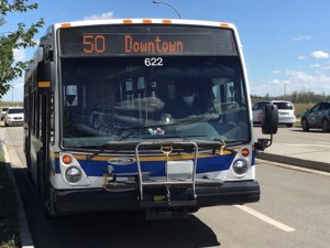 Free transit returning to F.W Johnson Collegiate