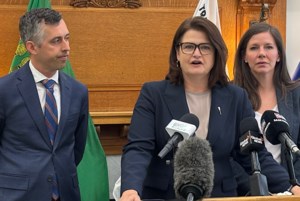 NDP release health care interim report, but government calls it too vague