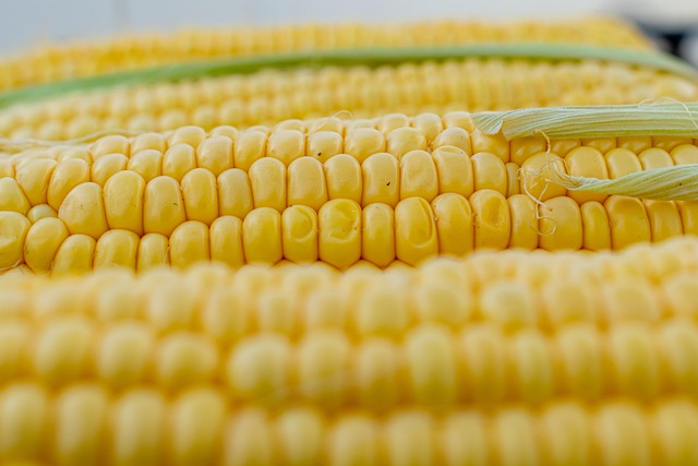 Corn on the Cob without Corn in the Teeth?