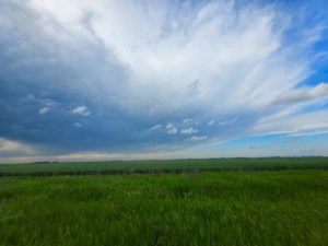 Thunderstorms across the province