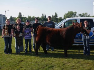 Estevan 4-H Show and Sale is 'bittersweet' time for those involved