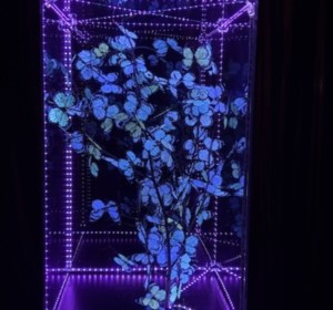 Inside-Out exhibit at Woodlawn brings art to the people