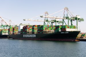 Russian attacks could slash Ukraine grain exports