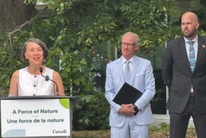 Feds announce $24.5 million to plant trees all over Saskatchewan