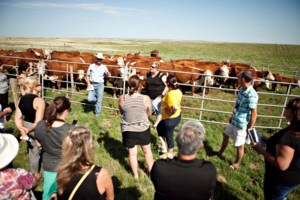 Farm & Food Care Sask. gearing up for Open Farm Days