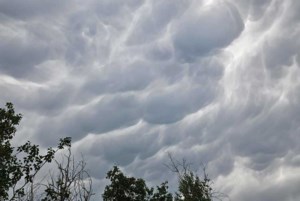 Update: Tornado warning lifted for storm that produced a twister
