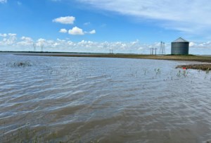 No drought anywhere on the Prairies