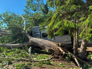 Storm cleanup continues as power returns across northeast Sask