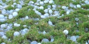 Insurance companies slammed with hail damage claims from summer storms