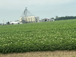 Hursh: Southern Alberta’s irrigation success story deserves more recognition