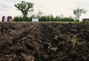 Soil health a critical matter for farming future, but there is hope