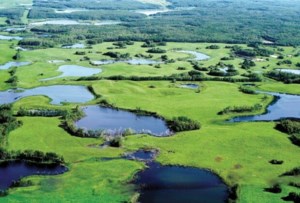 How Ducks Unlimited brings drained wetlands back to life
