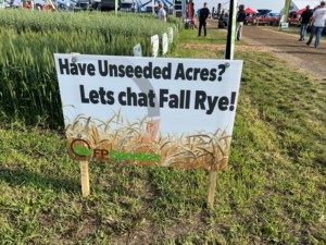 Hursh: Fall rye an option to fill unseeded acres