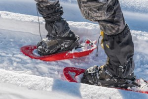 Beat the heat: think fun winter activities