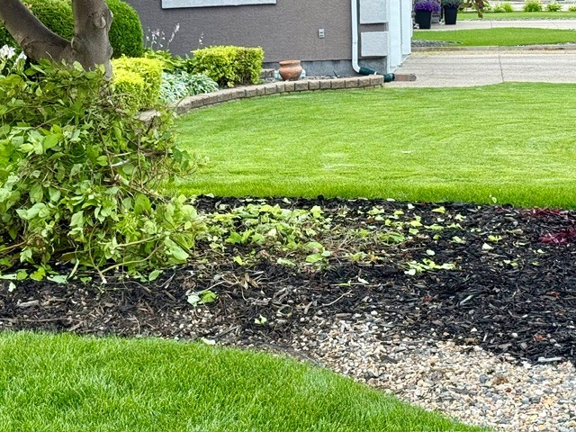 Weekend Recharge: Fires, Pool Time & A Little Yard Work