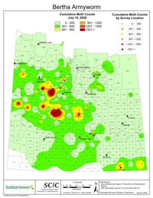 Agronomist advises farmers to watch for bertha army worm in canola crops