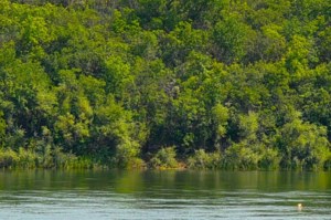 SFD using sonar to locate missing person in South Saskatchewan River