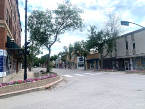 City survey invites input for Weyburn’s urban forestry program