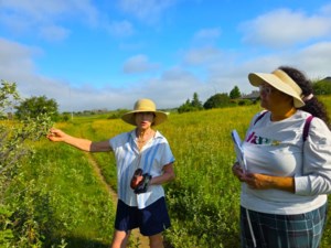 Saskatoon grasslands advocates call for long-term restoration plan
