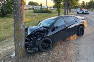 Second Manitoba Expressway tree strike this month sends one person to hospital