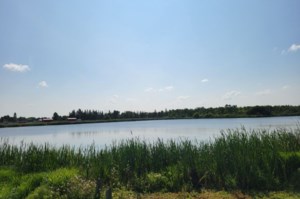 Yorkton advances Jaycee Beach plans, selects new site for off-leash dog park